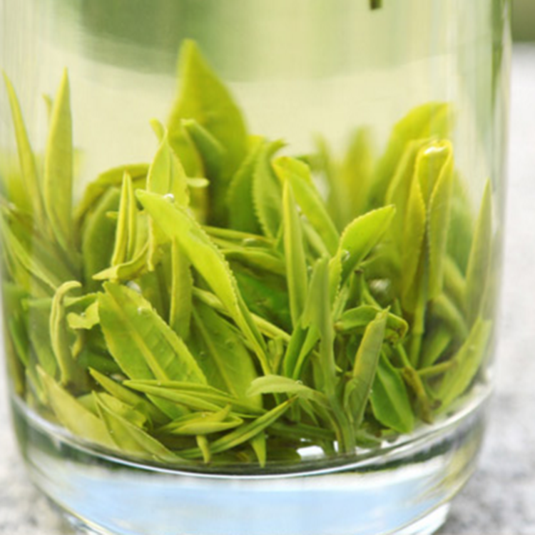 Gold Green Tea